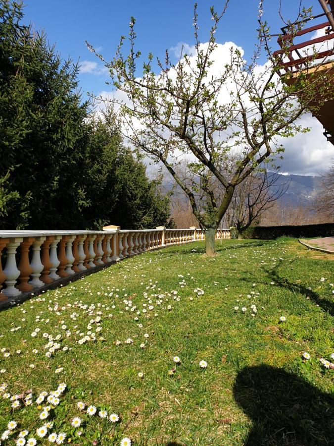 Pri Stari Murvi Vogrsko Esterno foto