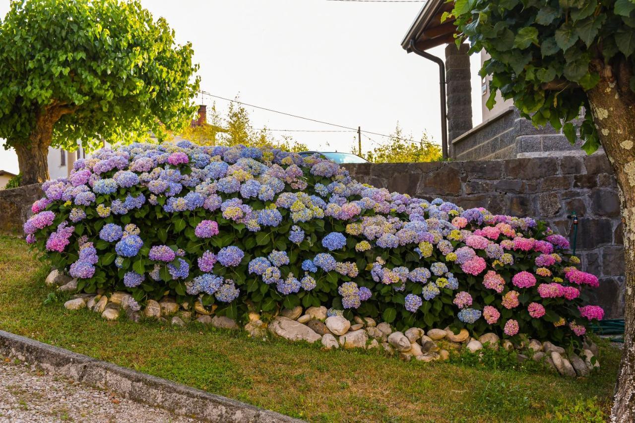 Pri Stari Murvi Vogrsko Esterno foto