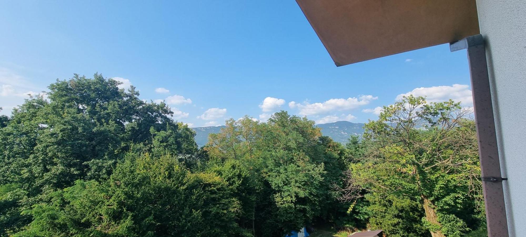 Pri Stari Murvi Vogrsko Esterno foto